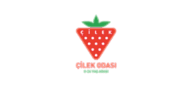 Çilek Genç Odası Reklam Seslendirme - Seslendirme Ajansı Çilek Genç Odası Reklam Seslendirme - Seslendirme Ajansı
