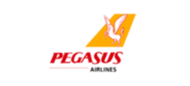 Pegasus reklam seslendirme ajansı